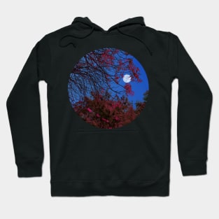 Moon Light and The Tree Hoodie